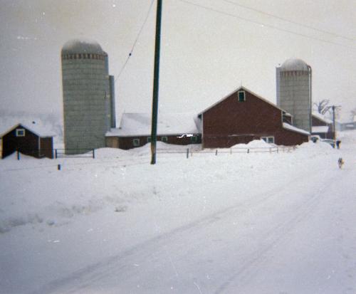 Twin Brook Farms, Cherry Valley, New York