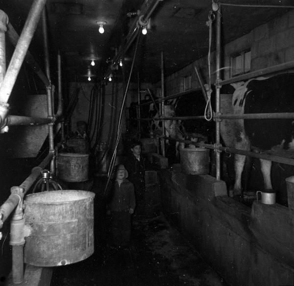 Milking Parlor