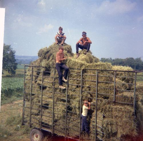 The Four Garretson Boys on a Wagon of Hay