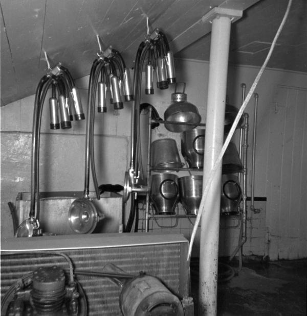 Hemlock Valley Farm Milk House