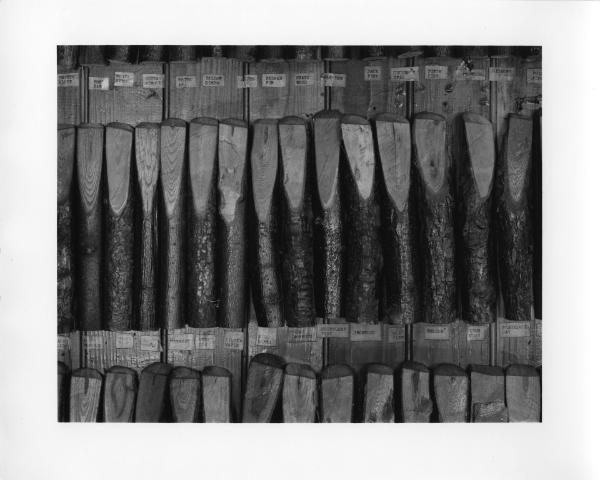 Pierstown Grange No. 793 - Wood Samples