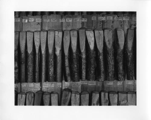 Pierstown Grange No. 793 - Wood Samples