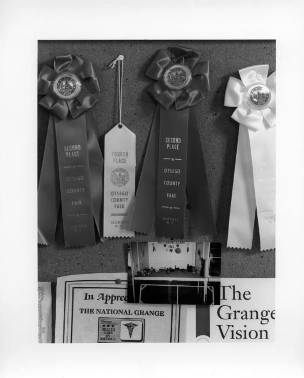Otego Grange No 788 -  Detail of Ribbons