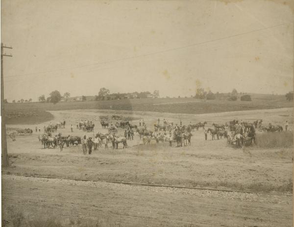 Gathering of the Horses and Wagons