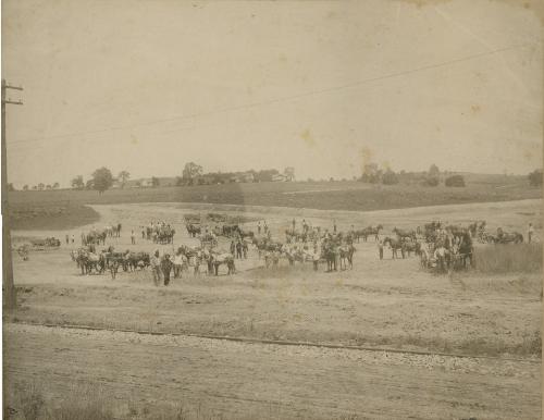 Gathering of the Horses and Wagons