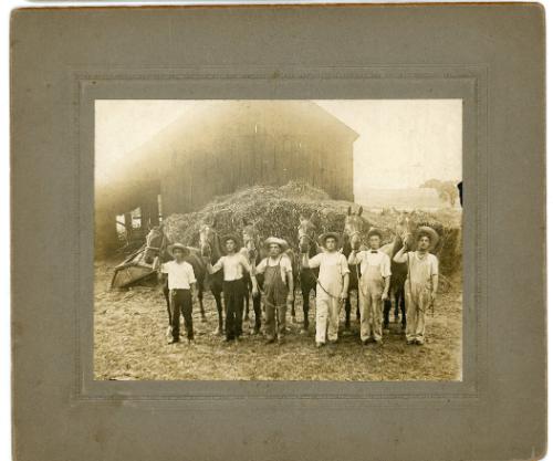 Group of Men with Horses