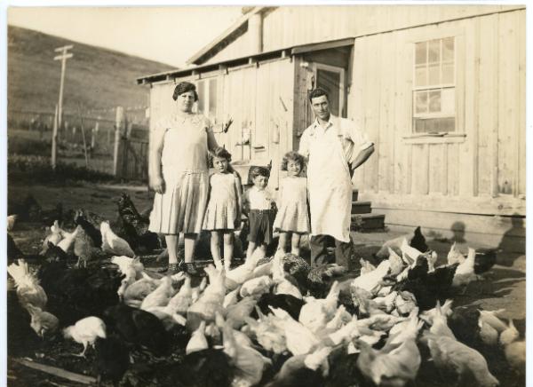 John Jones Farm