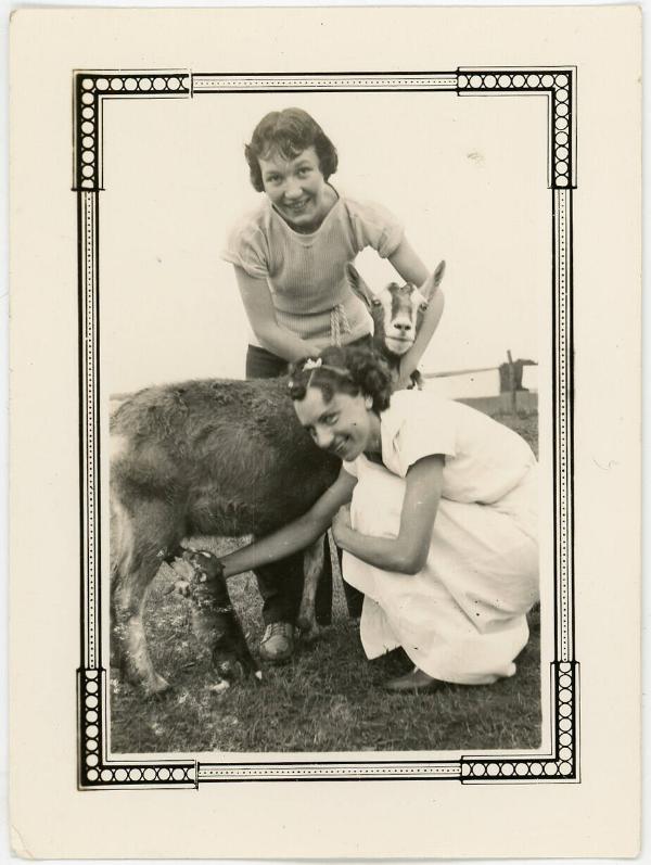 Two Women, One Goat & a Kitten