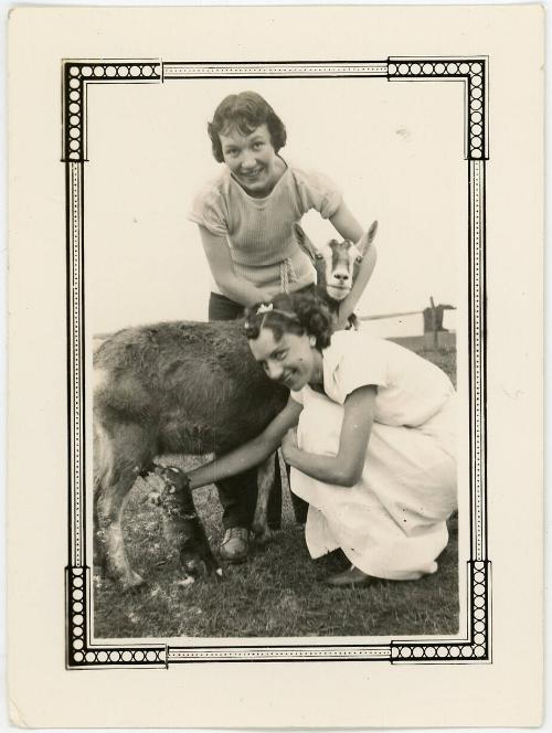 Two Women, One Goat & a Kitten