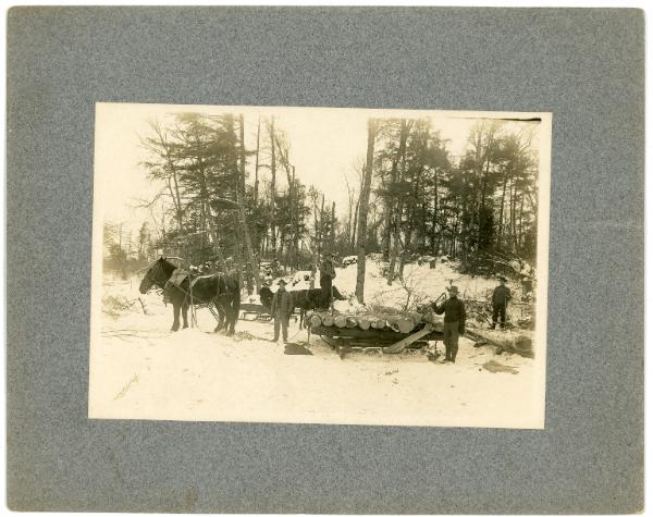 Oscar Moen; Logging