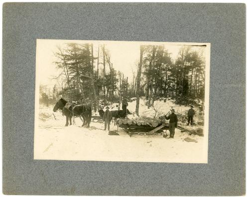Oscar Moen; Logging