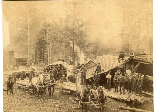 Saw Mill