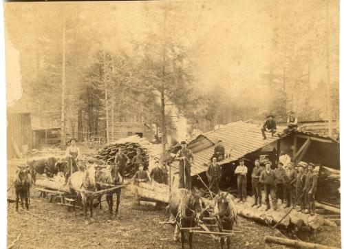 Saw Mill