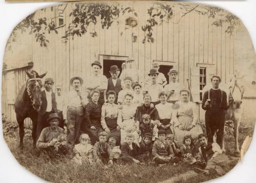 Group Photo With Horses