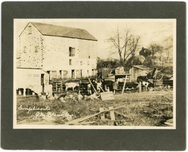 Barnyard