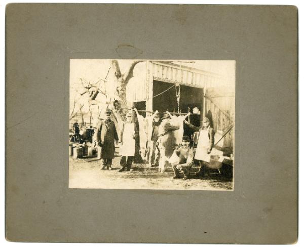 Men Processing Pigs