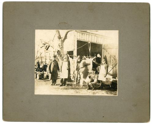 Men Processing Pigs