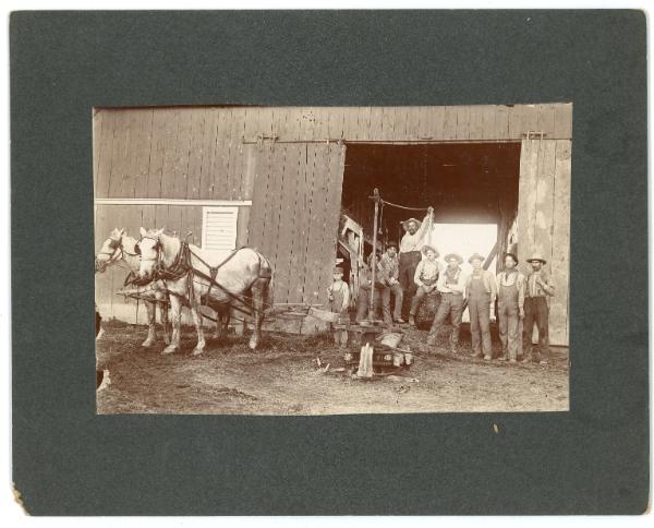 Group of Men and Horse Team