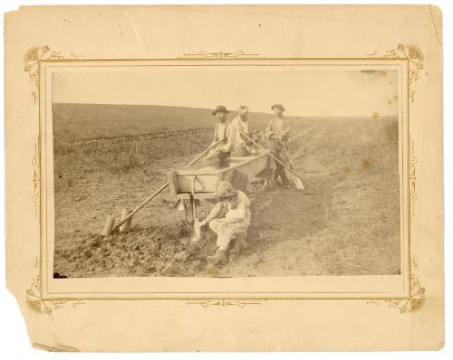 In The Field