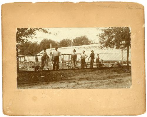 MacBean Greenhouse