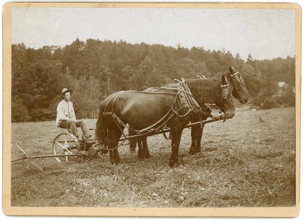 Uncle Rol Rowe & Horses; Kit & Pete