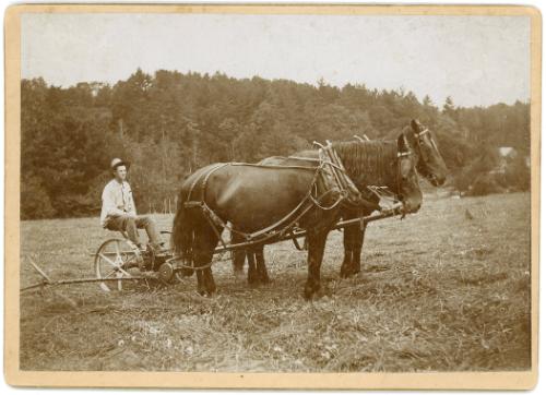 Uncle Rol Rowe & Horses; Kit & Pete