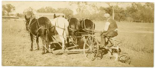 Plowing with Four Horse Team
