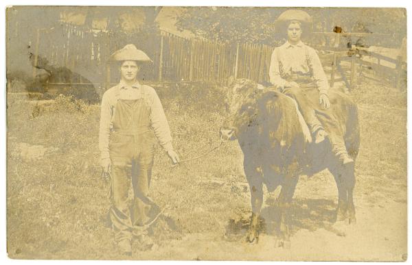 Two Men & a Bull