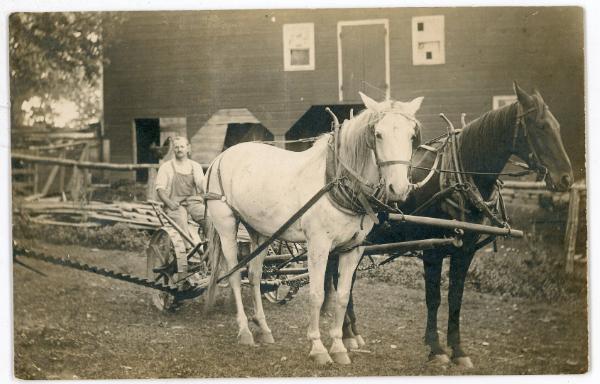 Two Horse Mowing Team