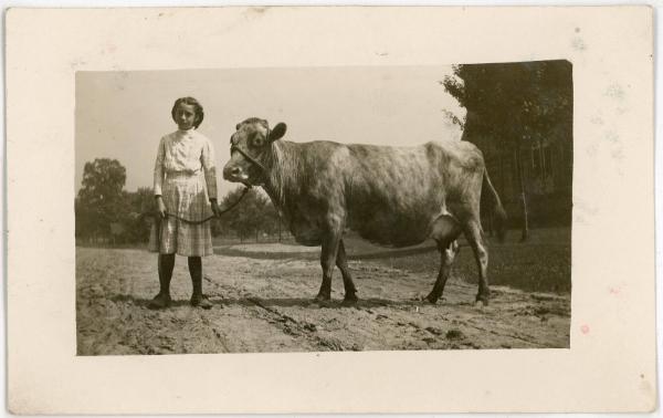 Girl & Cow