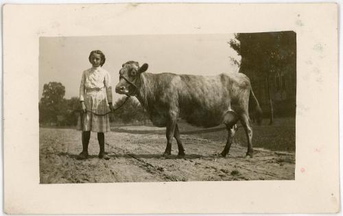 Girl & Cow