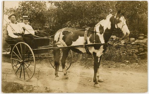 Horse Drawn Cart
