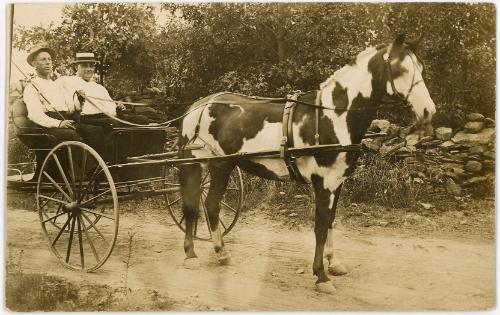 Horse Drawn Cart