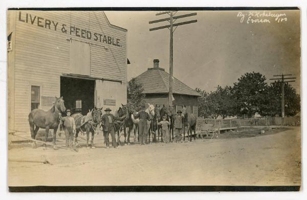 Livery & Feed Stable