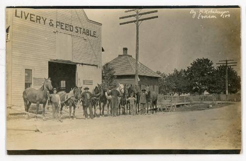 Livery & Feed Stable