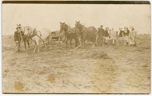 Harvest Wagon Loads
