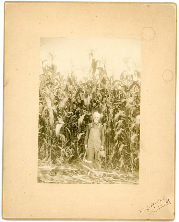 W.J. Morton: Jericho, N.Y.