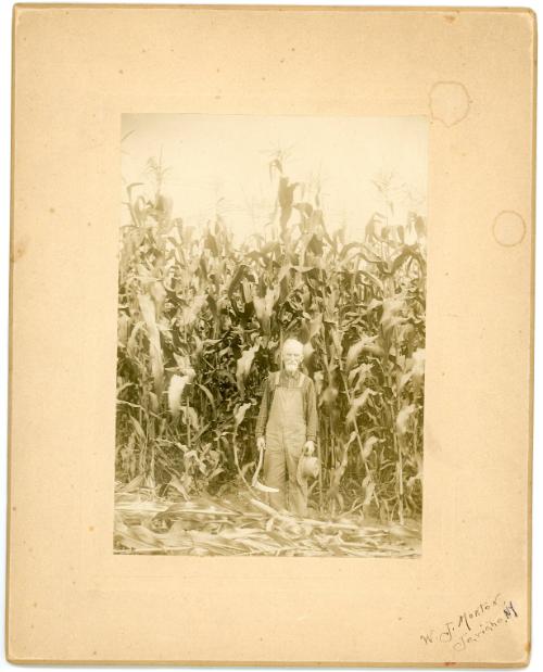 W.J. Morton: Jericho, N.Y.