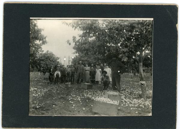 Harvesting Group