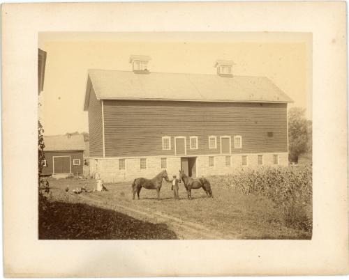 William Parsons and Horses