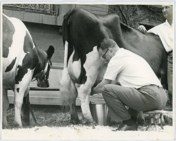Hand Milking