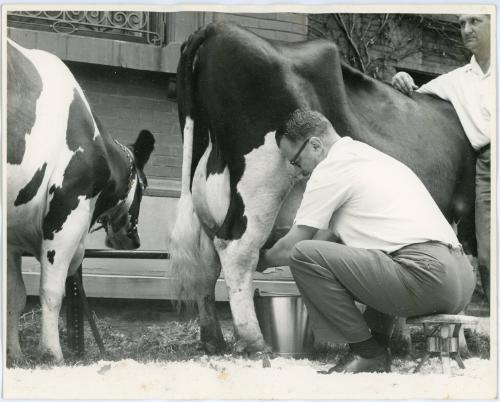 Hand Milking