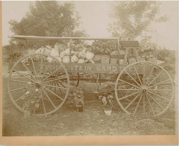 The Holstein Gardener Harvest Cart
