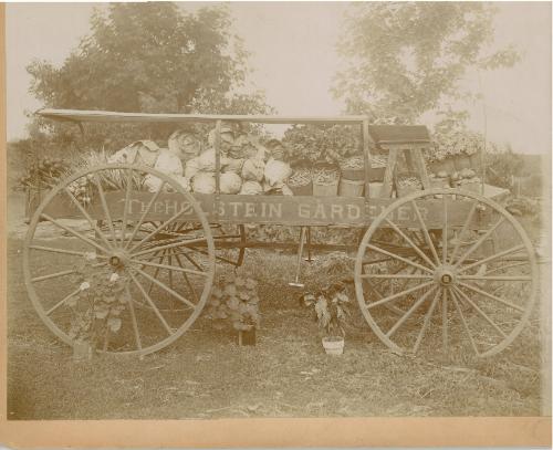 The Holstein Gardener Harvest Cart