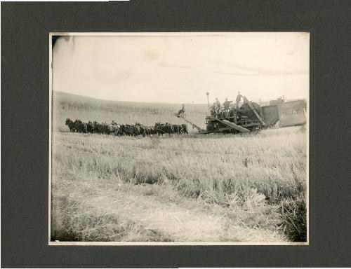 16 Horse Mower