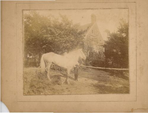 John Kerrey and His Horse