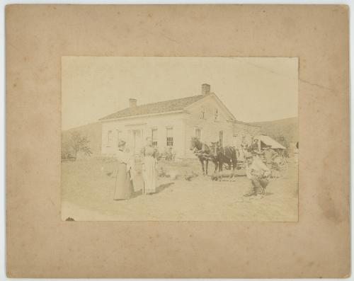 Henry Williams Farm
