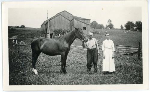 Man, Woman and Horse