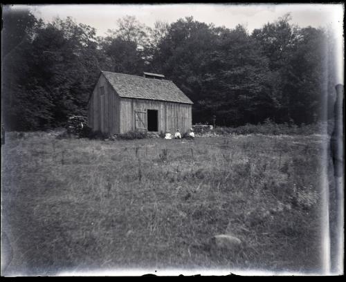 Morris, NY
