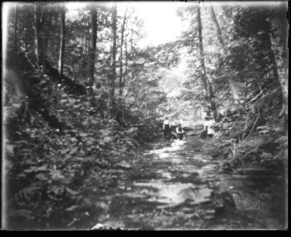 Cahoon Brook; Morris, NY